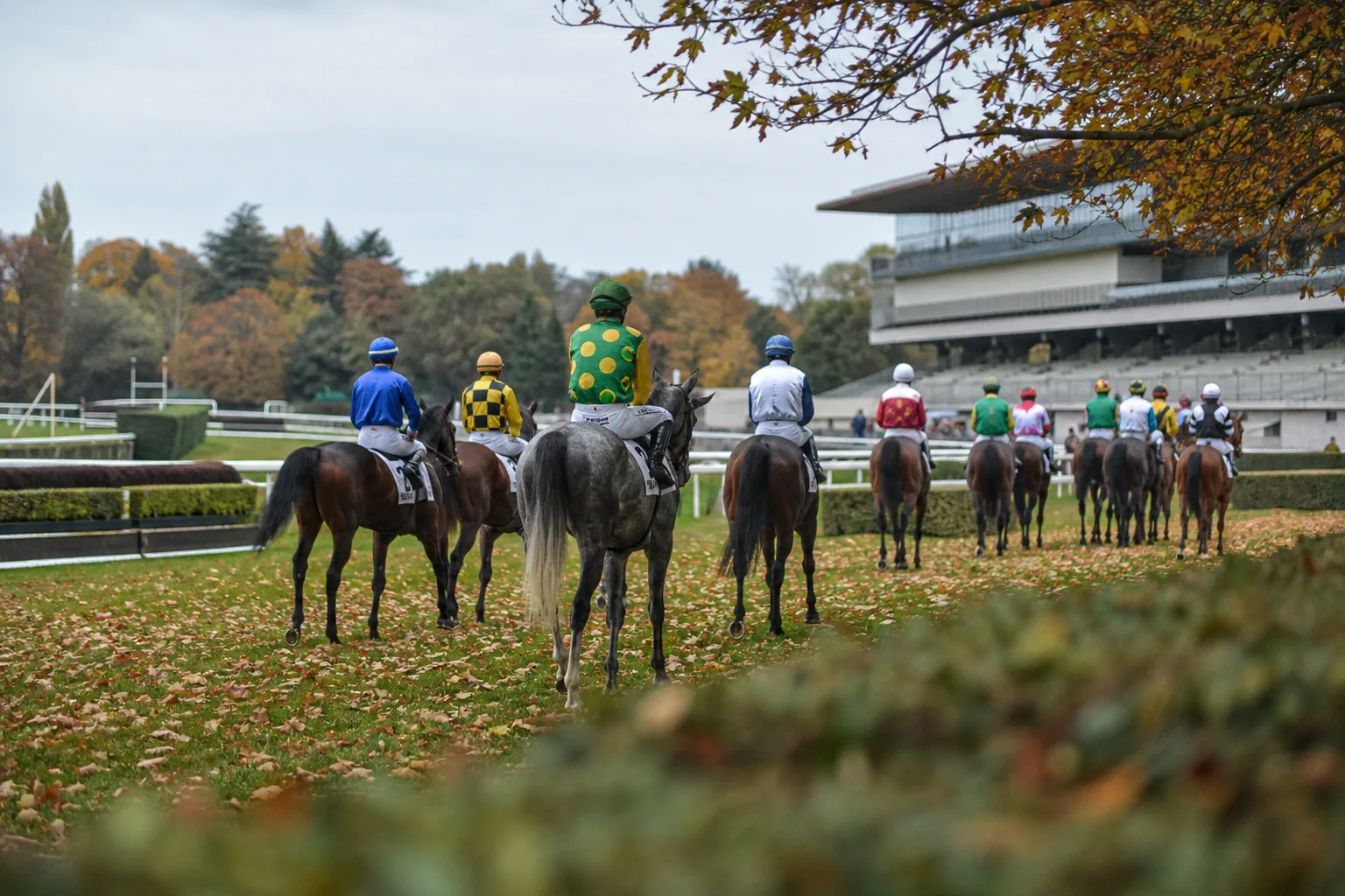 Partants du Quinté de demain, quel tocard peut surprendre à Auteuil ?