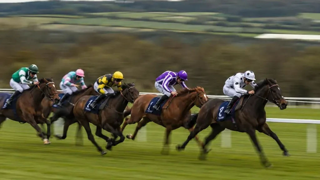 Pronostic Quinté du dimanche 21 juin à Vincennes : ma base et mon ticket